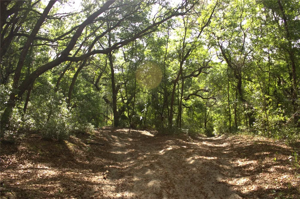 REDBUD ROAD Lady Lake, FL 32159