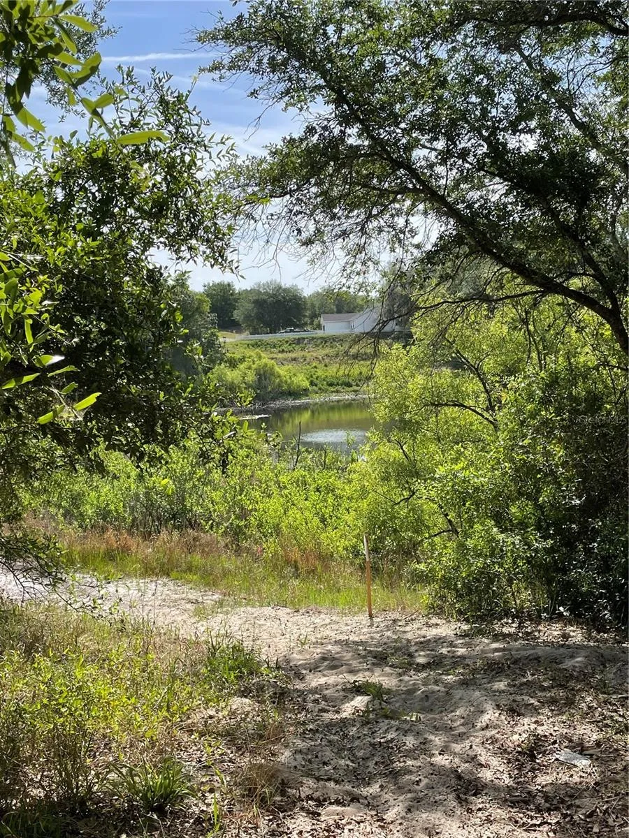 REDBUD ROAD Lady Lake, FL 32159