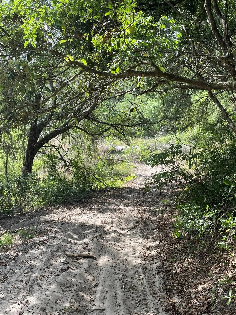 REDBUD ROAD Lady Lake, FL 32159