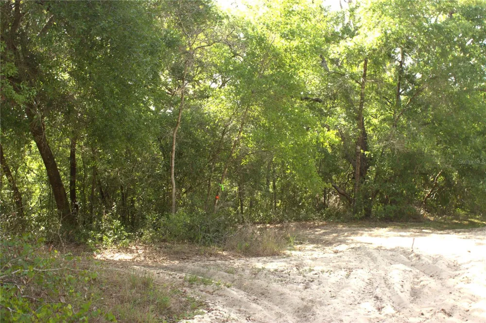 REDBUD ROAD Lady Lake, FL 32159