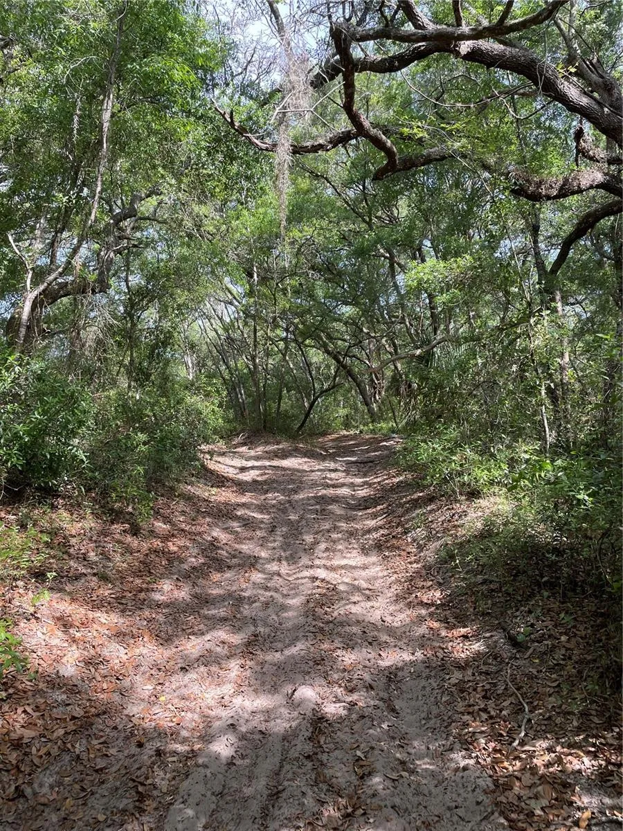 REDBUD ROAD Lady Lake, FL 32159
