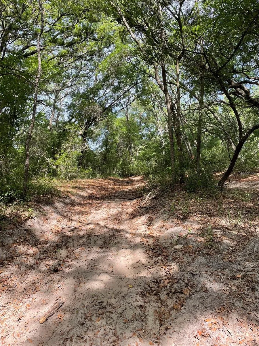 REDBUD ROAD Lady Lake, FL 32159