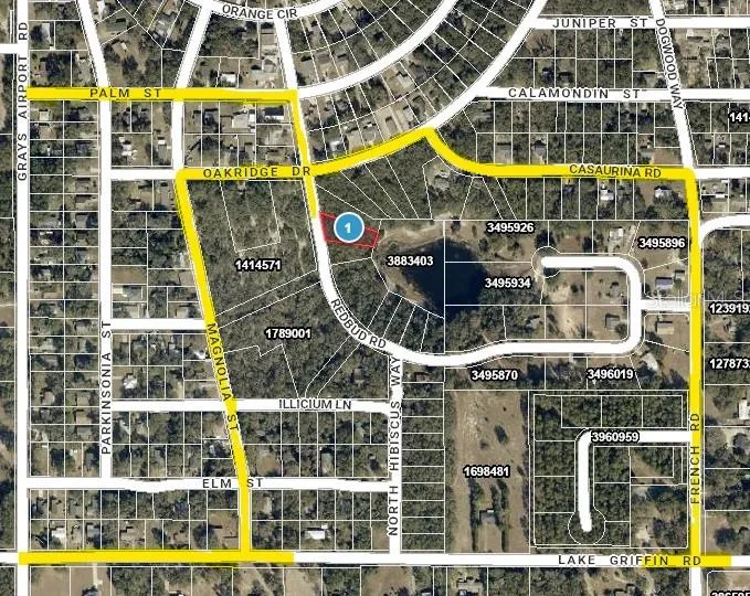 REDBUD ROAD Lady Lake, FL 32159