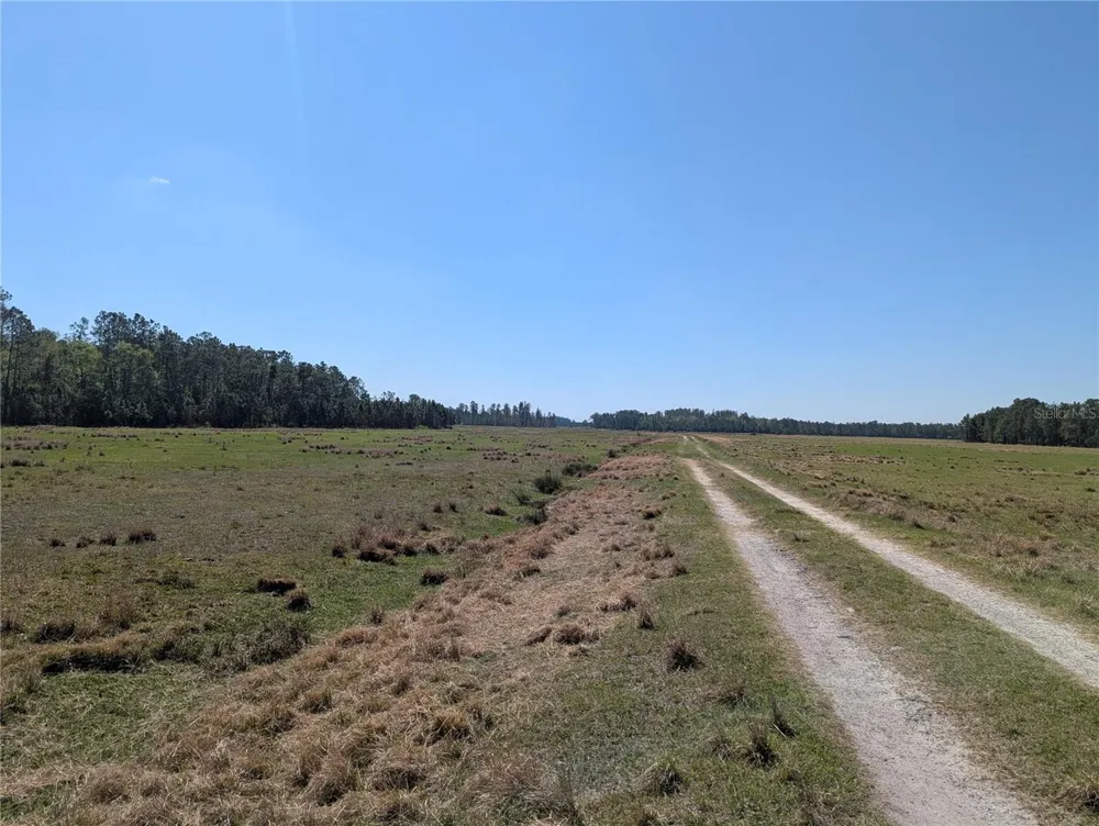 DEEN STILL ROAD E Polk City, FL 33868