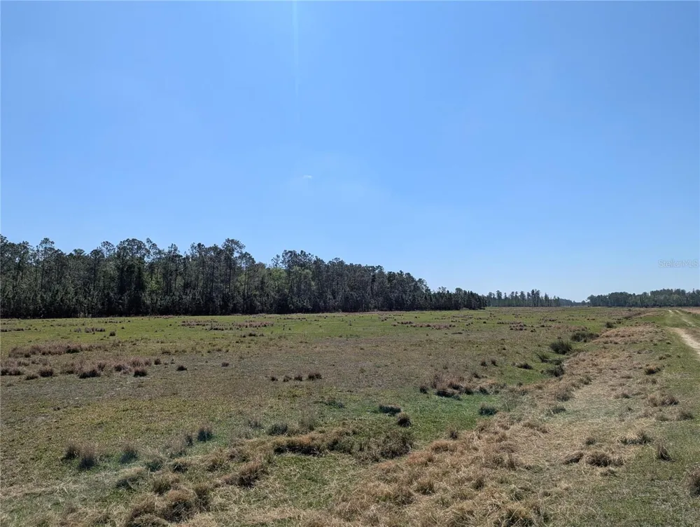 DEEN STILL ROAD E Polk City, FL 33868