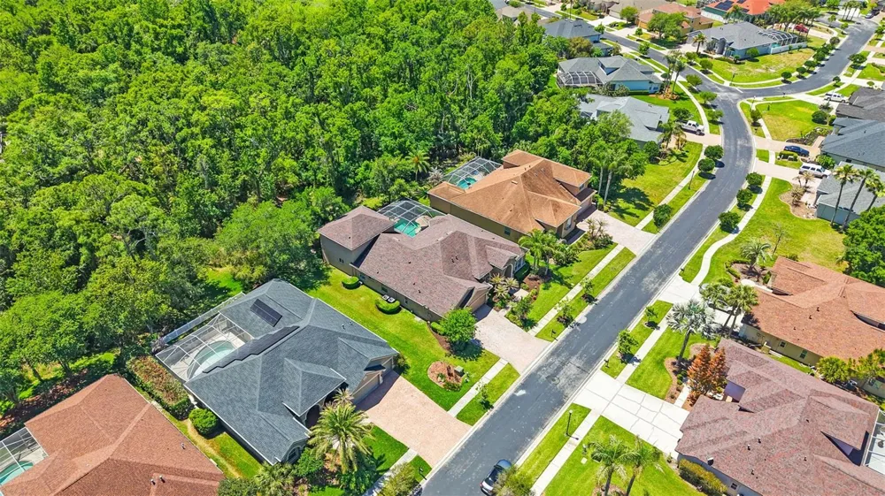 27608 PINE POINT DRIVE Wesley Chapel, FL 33544