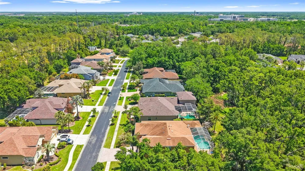 27608 PINE POINT DRIVE Wesley Chapel, FL 33544