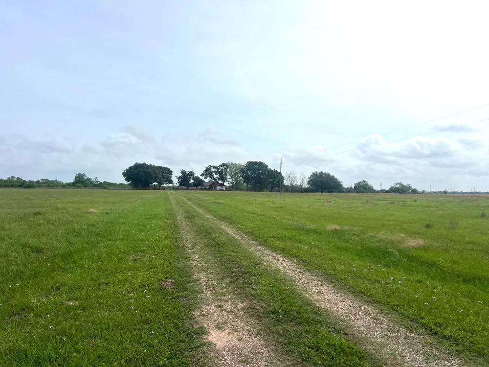 3798 Johnston Road Wallis, TX 77485