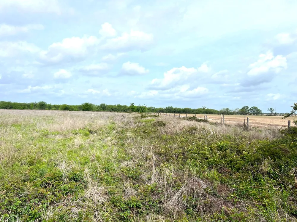 3798 Johnston Road Wallis, TX 77485