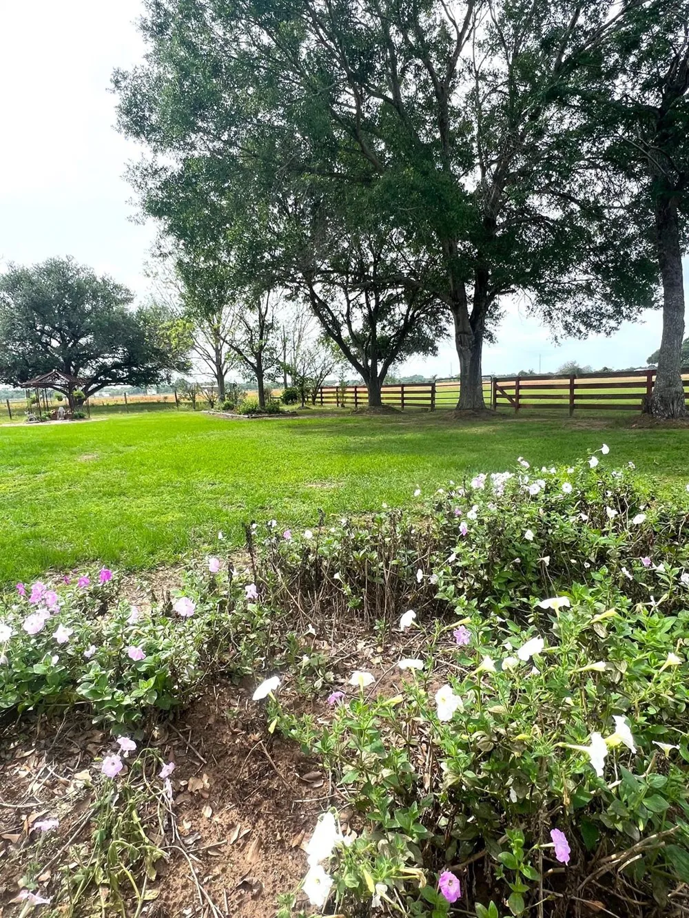 3798 Johnston Road Wallis, TX 77485