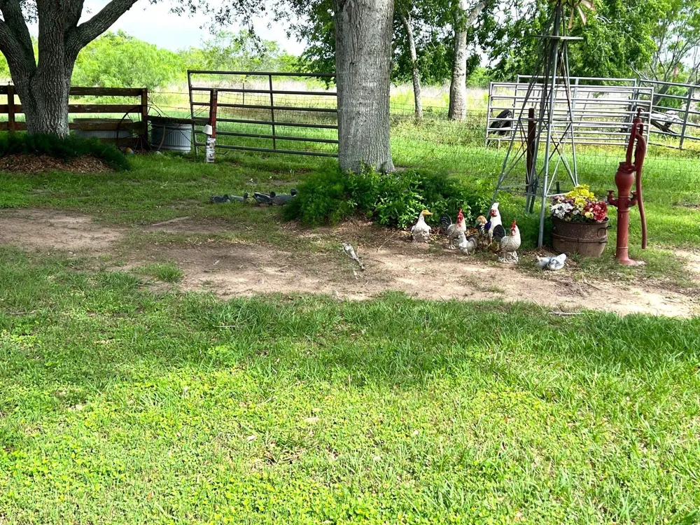 3798 Johnston Road Wallis, TX 77485