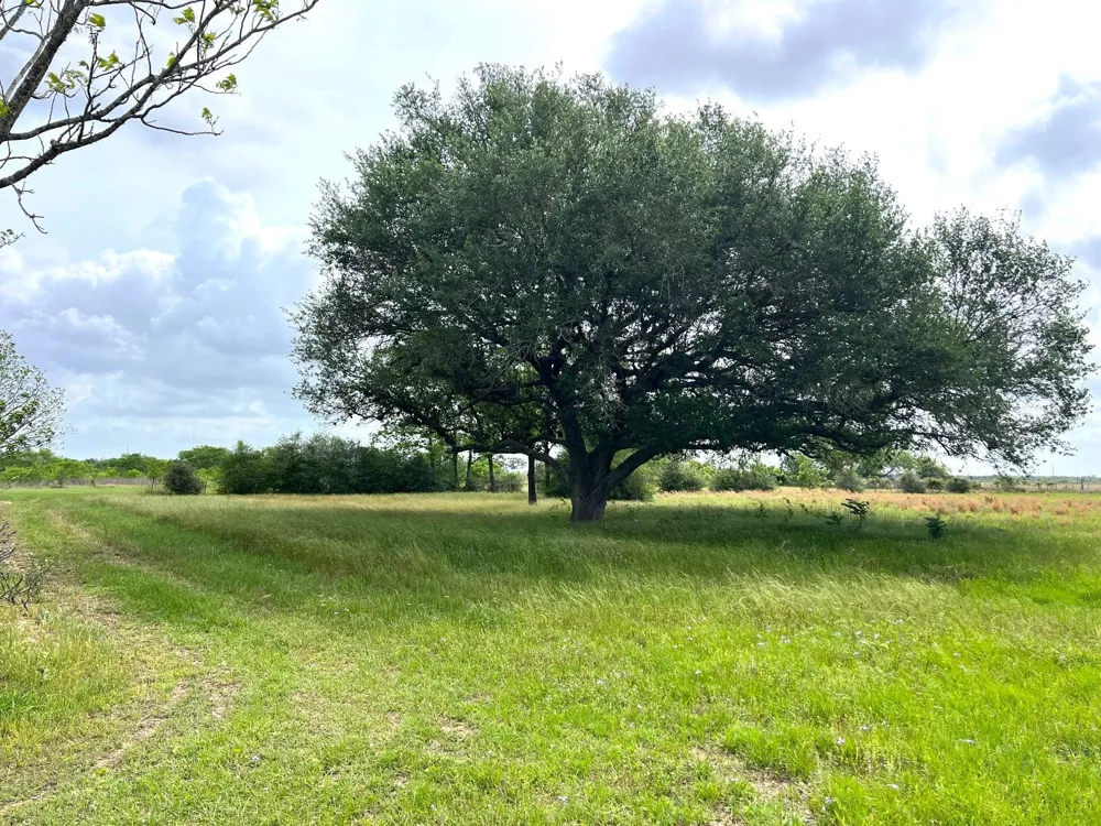3798 Johnston Road Wallis, TX 77485