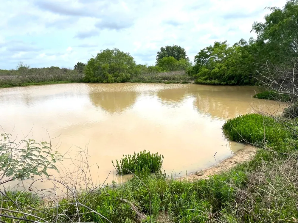 3798 Johnston Road Wallis, TX 77485