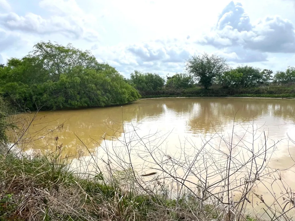3798 Johnston Road Wallis, TX 77485