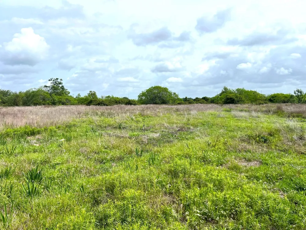 3798 Johnston Road Wallis, TX 77485
