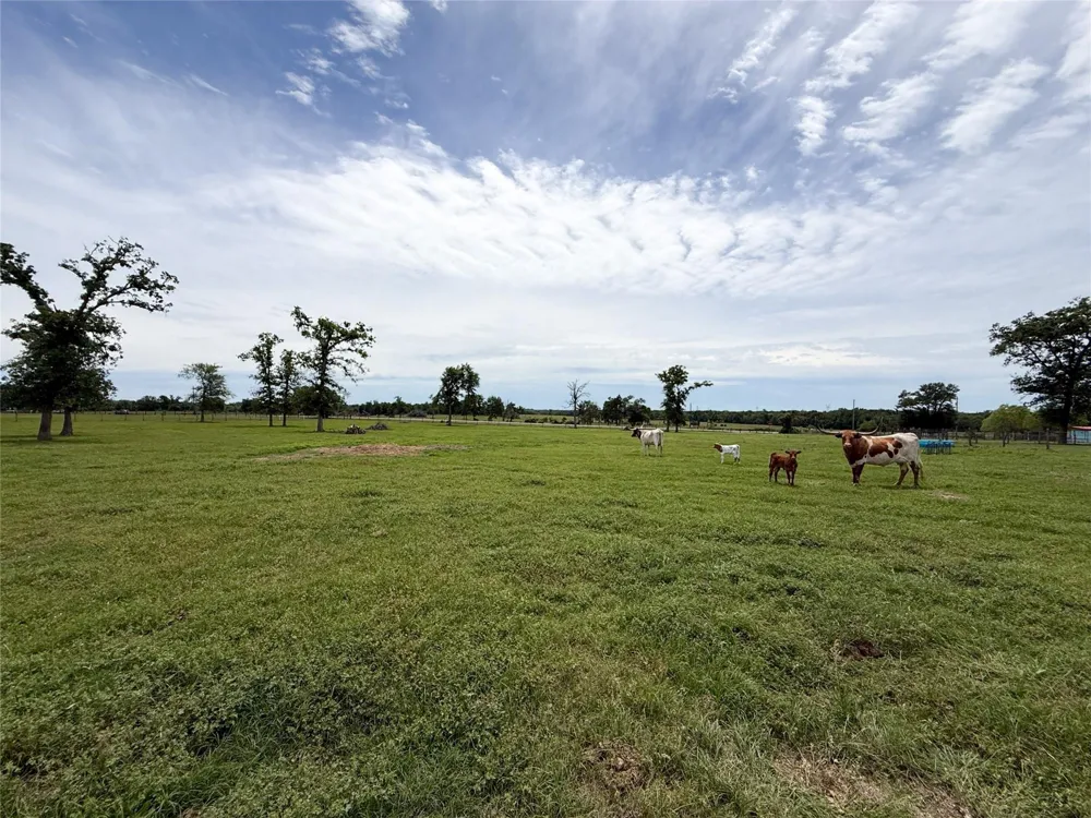 104 Fcr 867 Teague, TX 75860