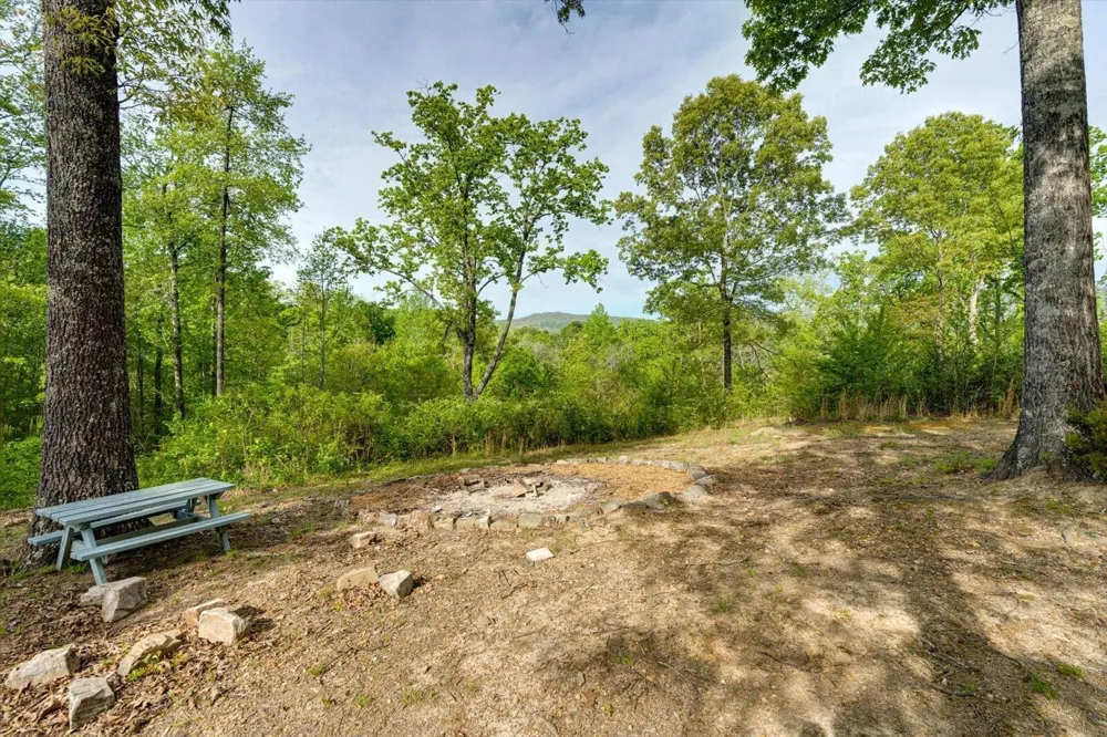 4156 N Marble Top Road Chickamauga, GA 30707