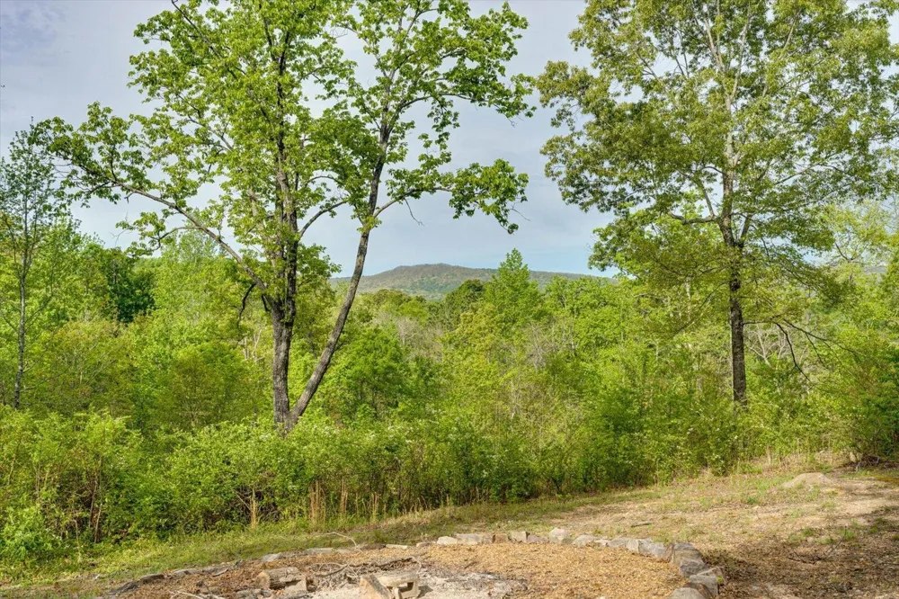 4156 N Marble Top Road Chickamauga, GA 30707
