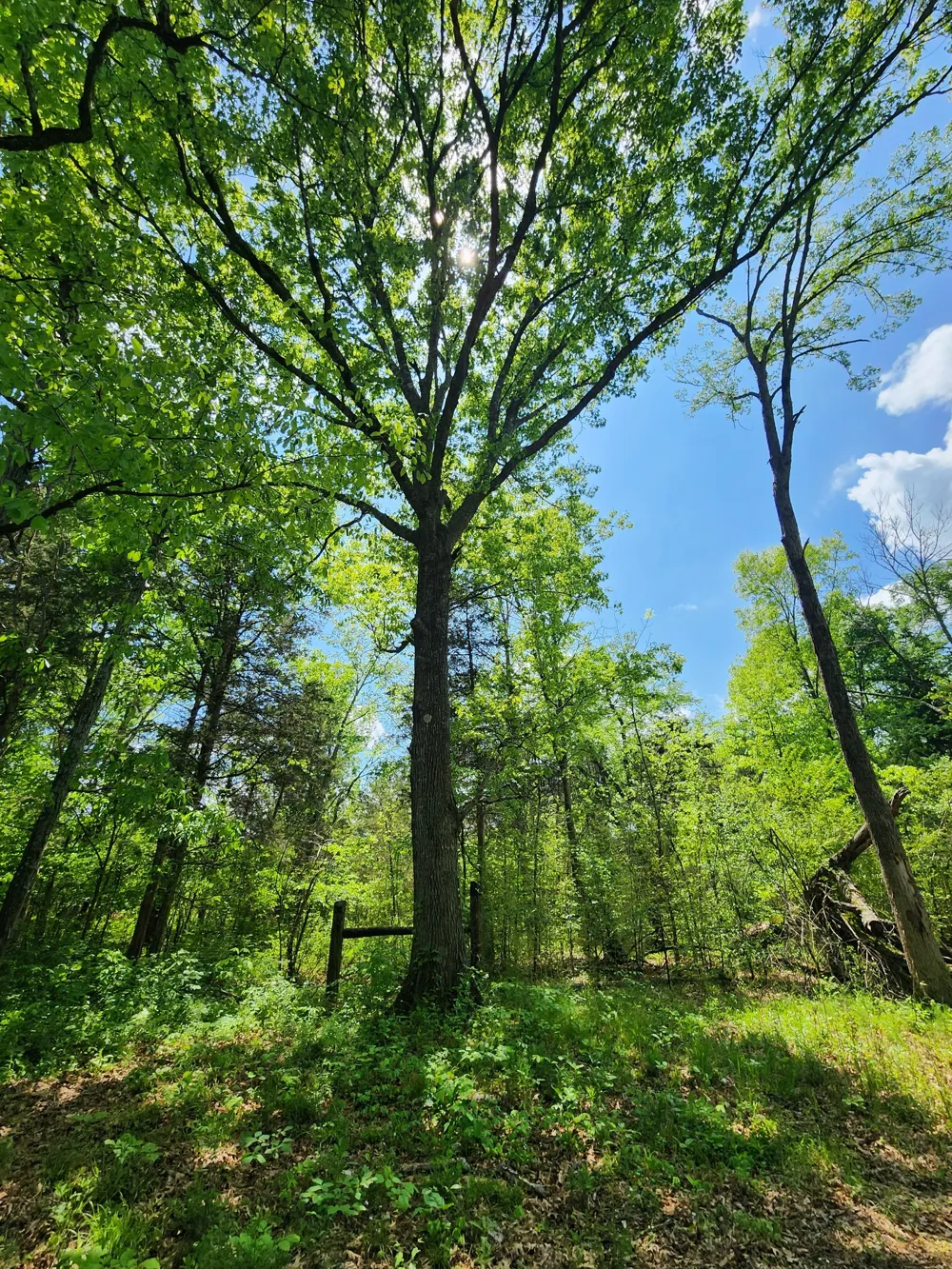 0 Murray Kittrell Rd Readyville, TN 37149