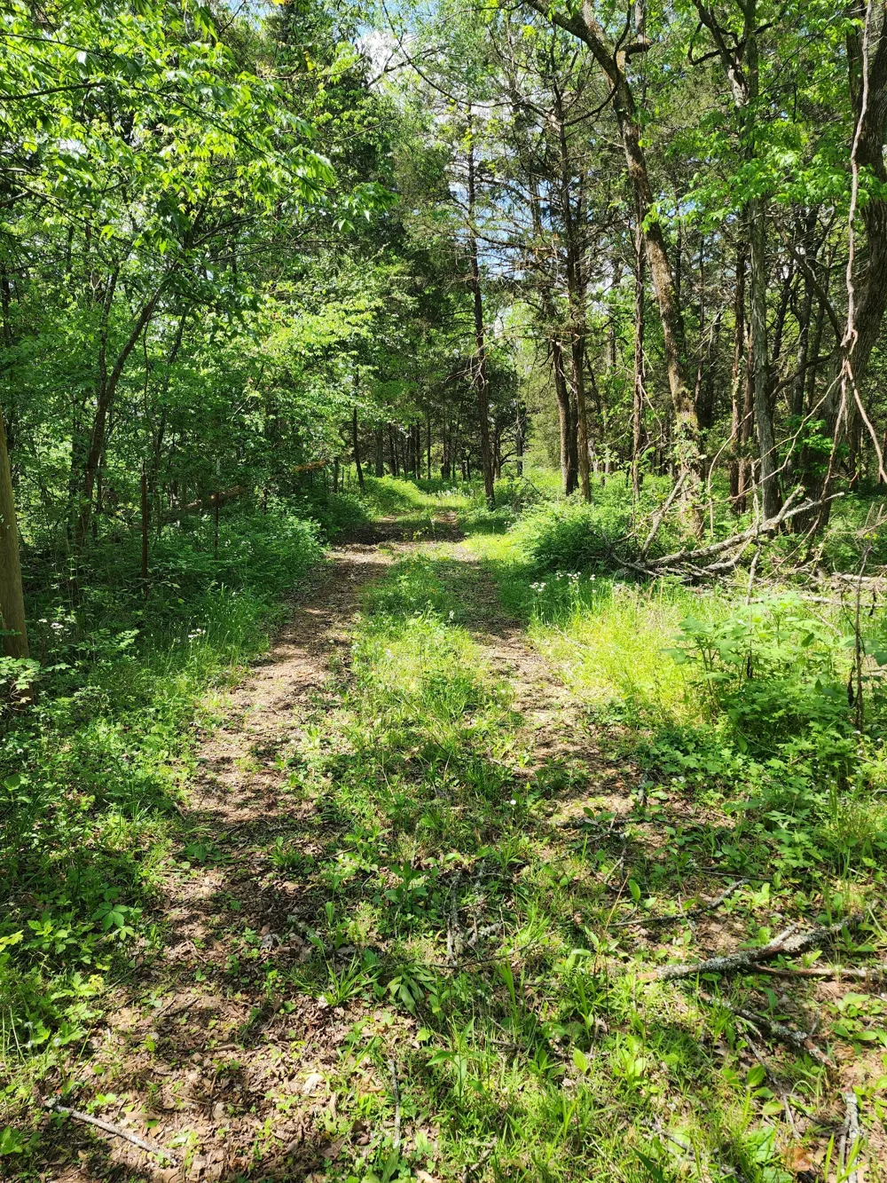 0 Murray Kittrell Rd Readyville, TN 37149