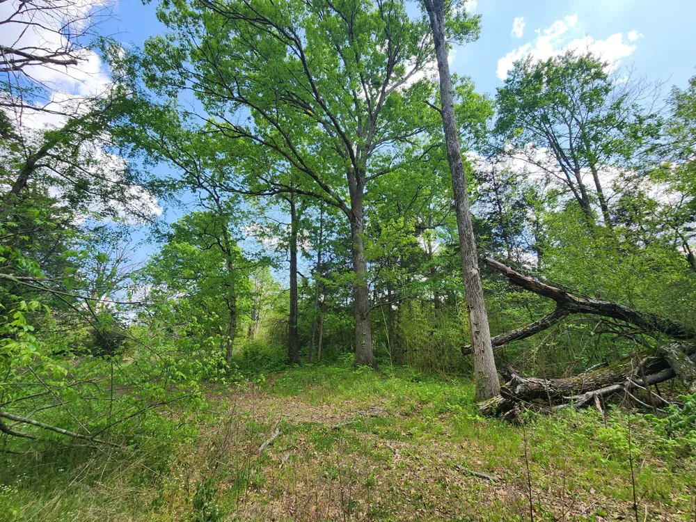 0 Murray Kittrell Rd Readyville, TN 37149