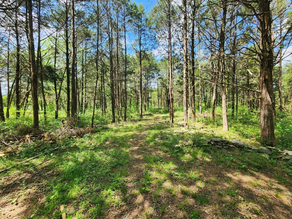 0 Murray Kittrell Rd Readyville, TN 37149