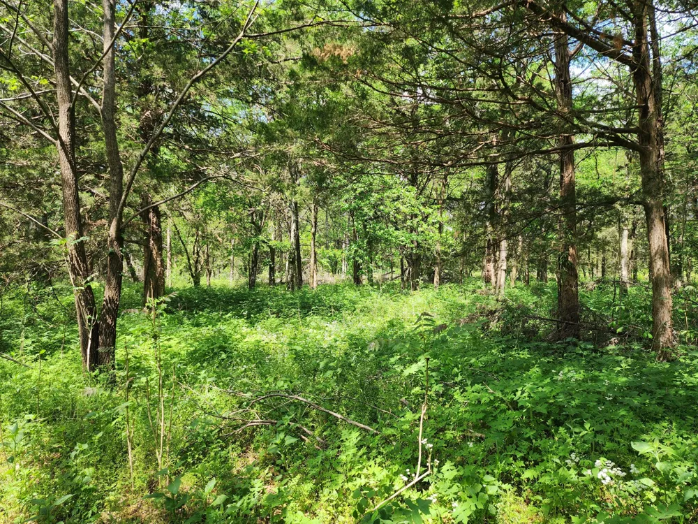 0 Murray Kittrell Rd Readyville, TN 37149