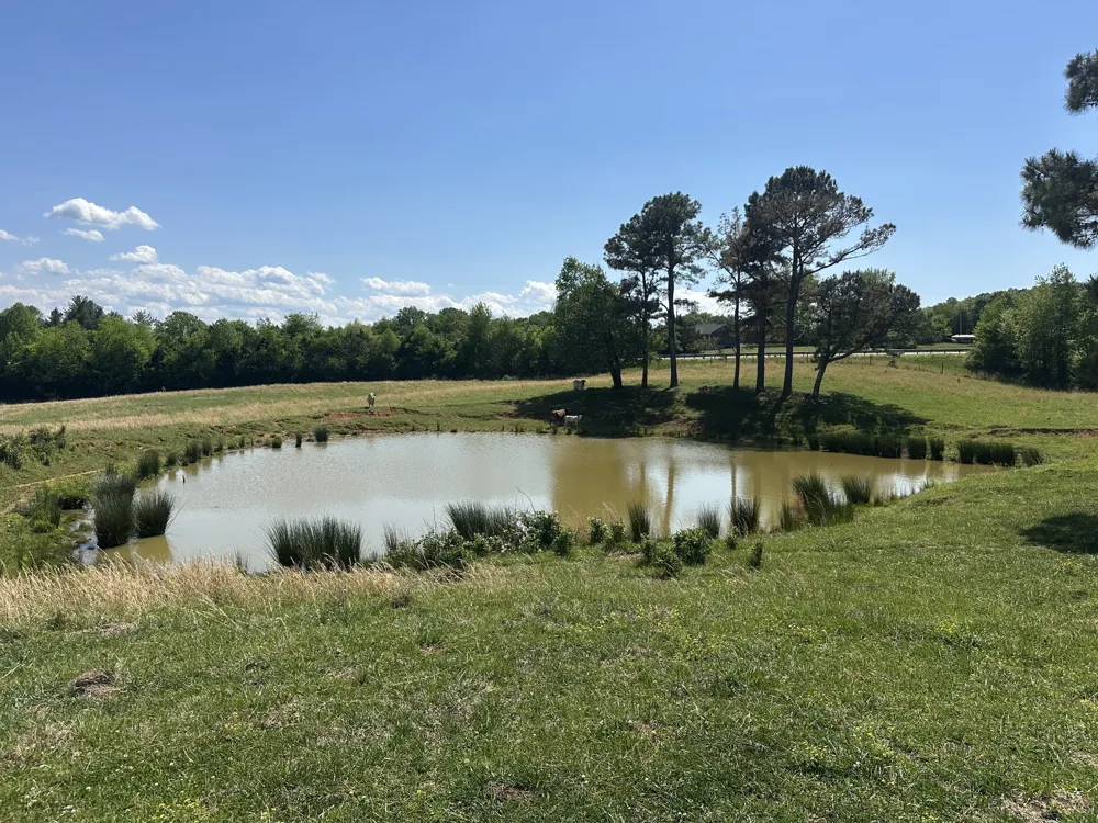 0 Charles Golden Rd Sparta, TN 38583