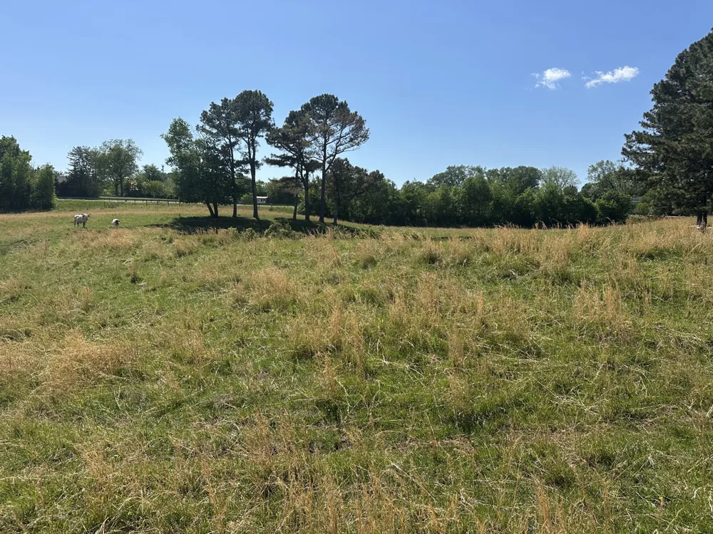 0 Charles Golden Rd Sparta, TN 38583