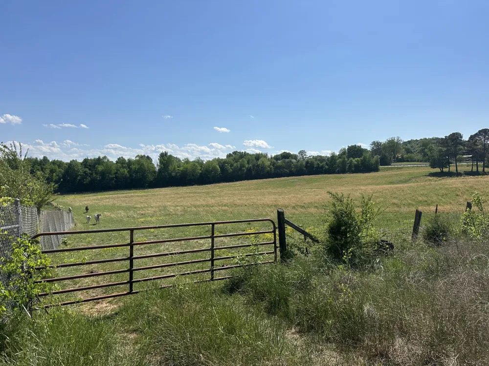 0 Charles Golden Rd Sparta, TN 38583