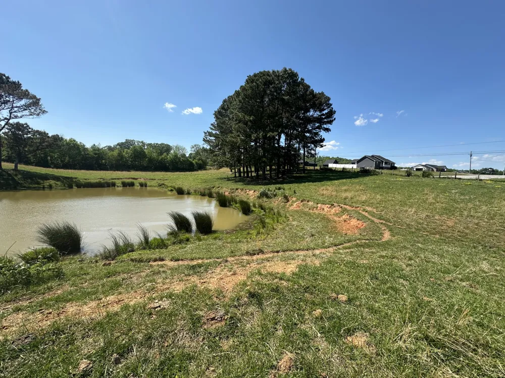 0 Charles Golden Rd Sparta, TN 38583