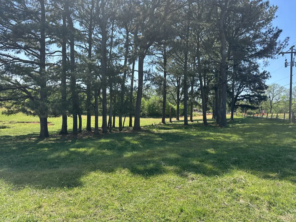 0 Charles Golden Rd Sparta, TN 38583