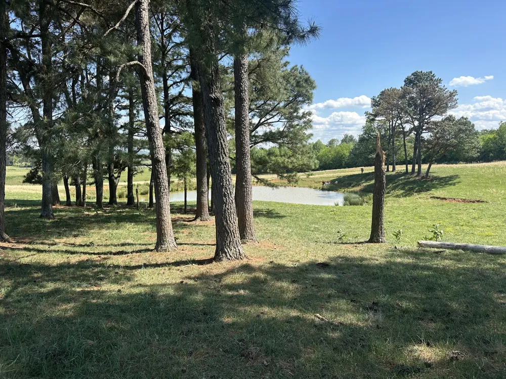 0 Charles Golden Rd Sparta, TN 38583
