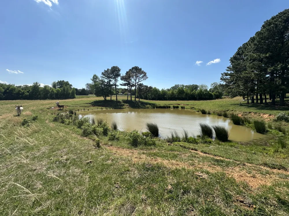 0 Charles Golden Rd Sparta, TN 38583
