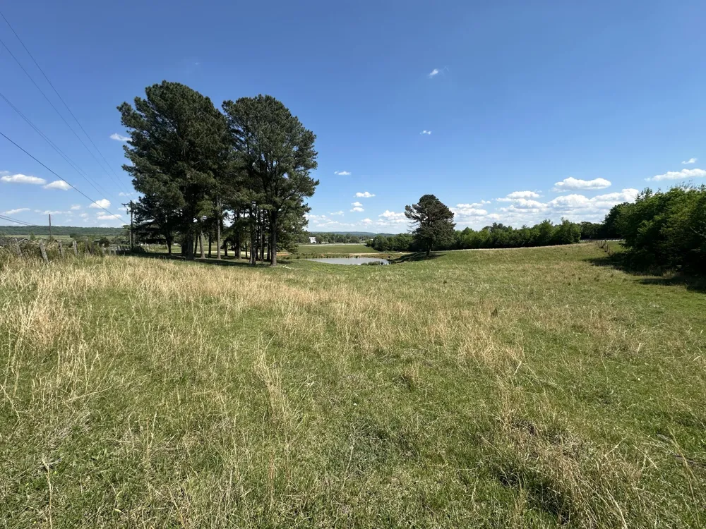 0 Charles Golden Rd Sparta, TN 38583