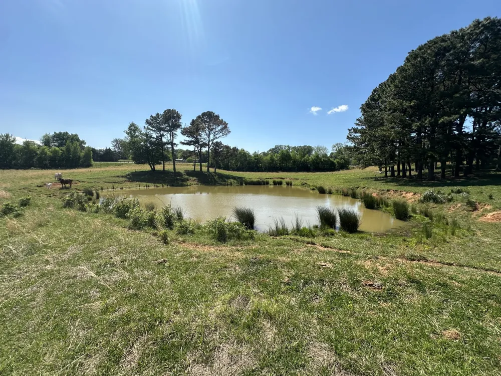 0 Charles Golden Rd Sparta, TN 38583