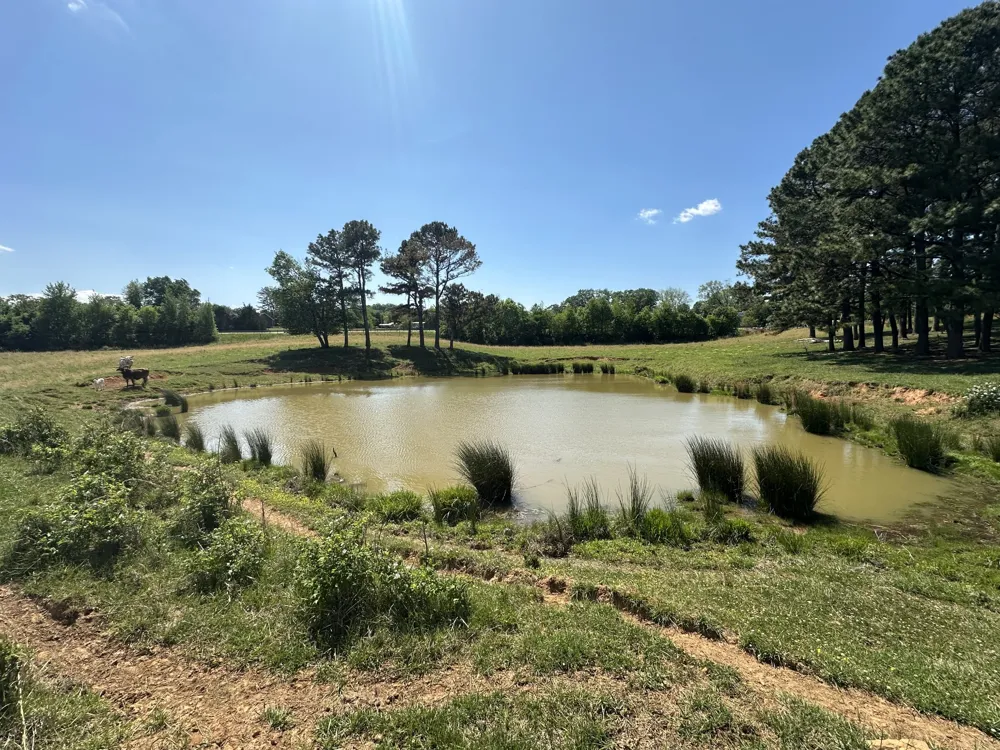 0 Charles Golden Rd Sparta, TN 38583
