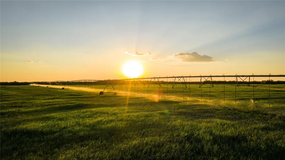 3745 Cr 4006 Crystal City, TX 78839