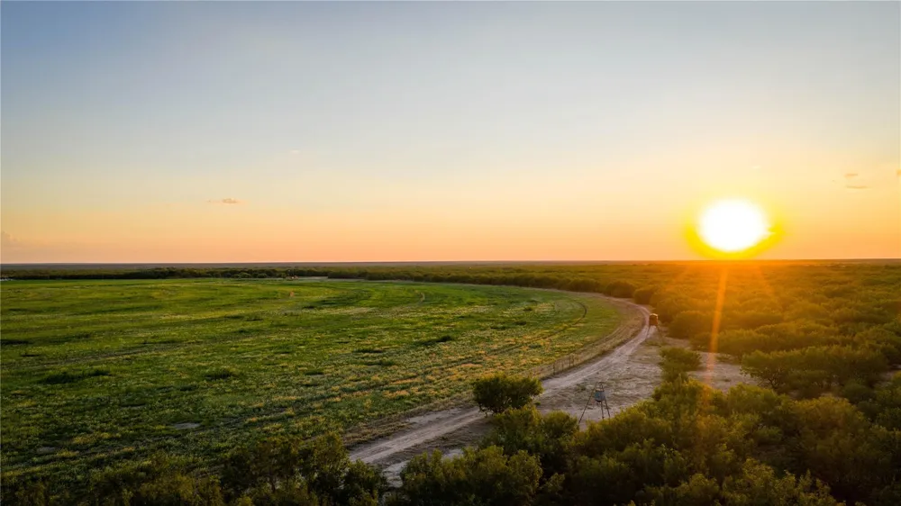 3745 Cr 4006 Crystal City, TX 78839