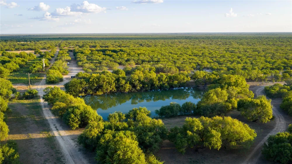 3745 Cr 4006 Crystal City, TX 78839