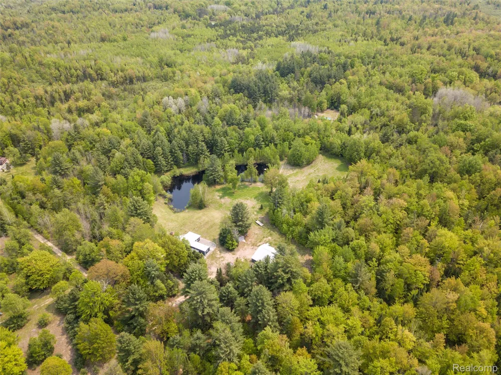 5960 Trail SE Orange Township, MI 49646