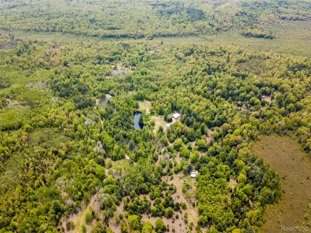 5960 Trail SE Orange Township, MI 49646