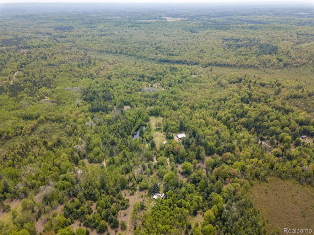 5960 Trail SE Orange Township, MI 49646
