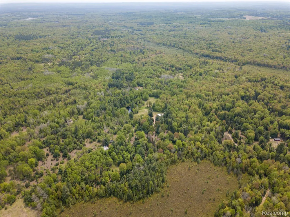 5960 Trail SE Orange Township, MI 49646