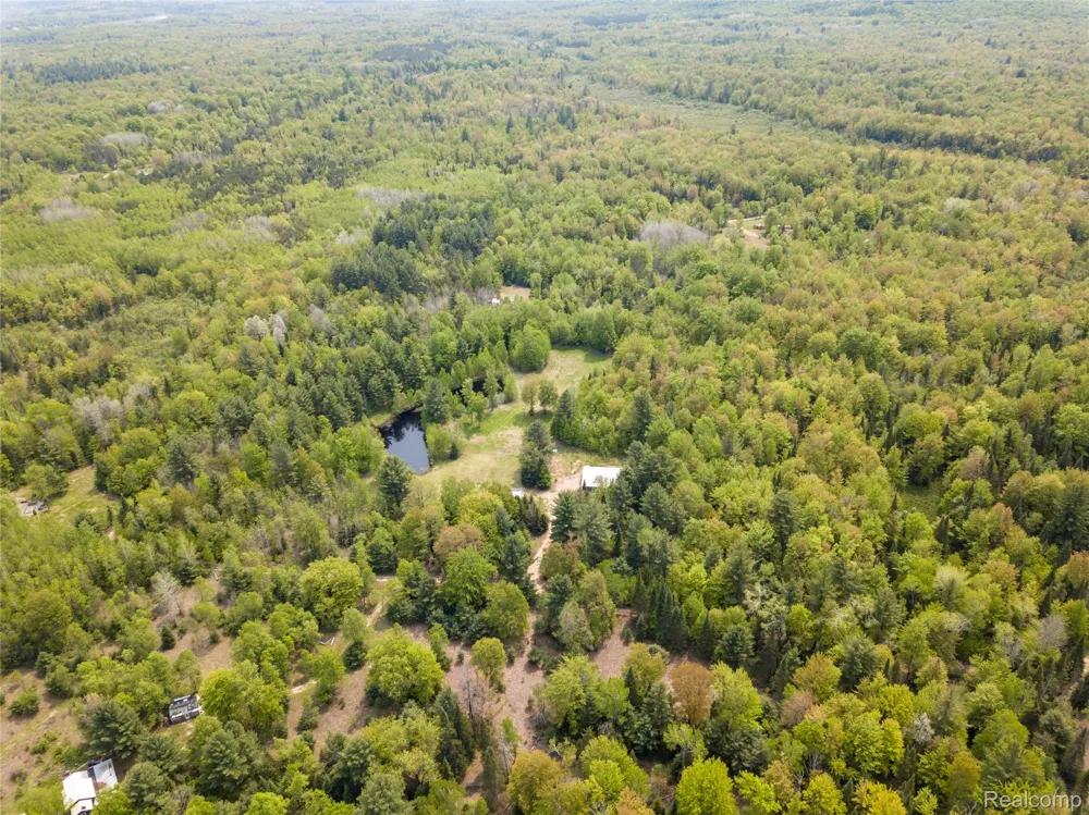 5960 Trail SE Orange Township, MI 49646
