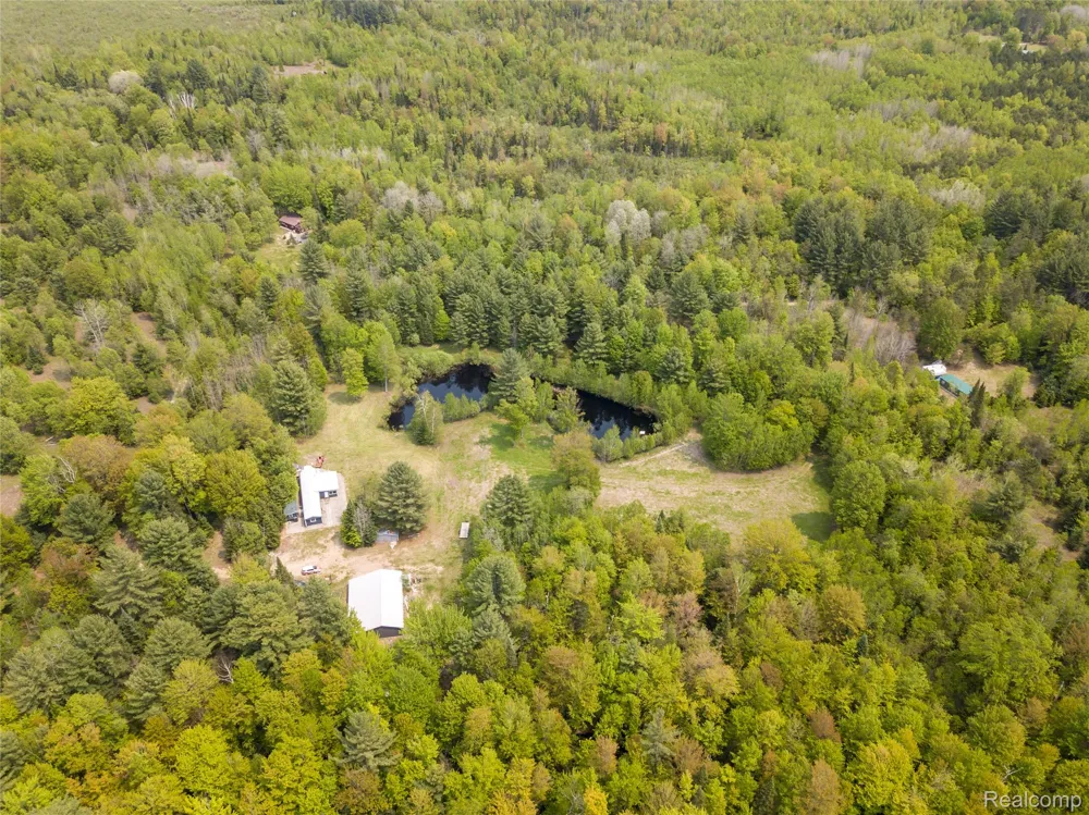 5960 Trail SE Orange Township, MI 49646