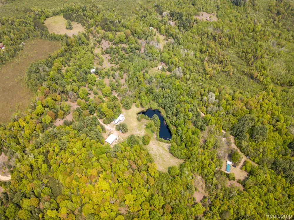 5960 Trail SE Orange Township, MI 49646