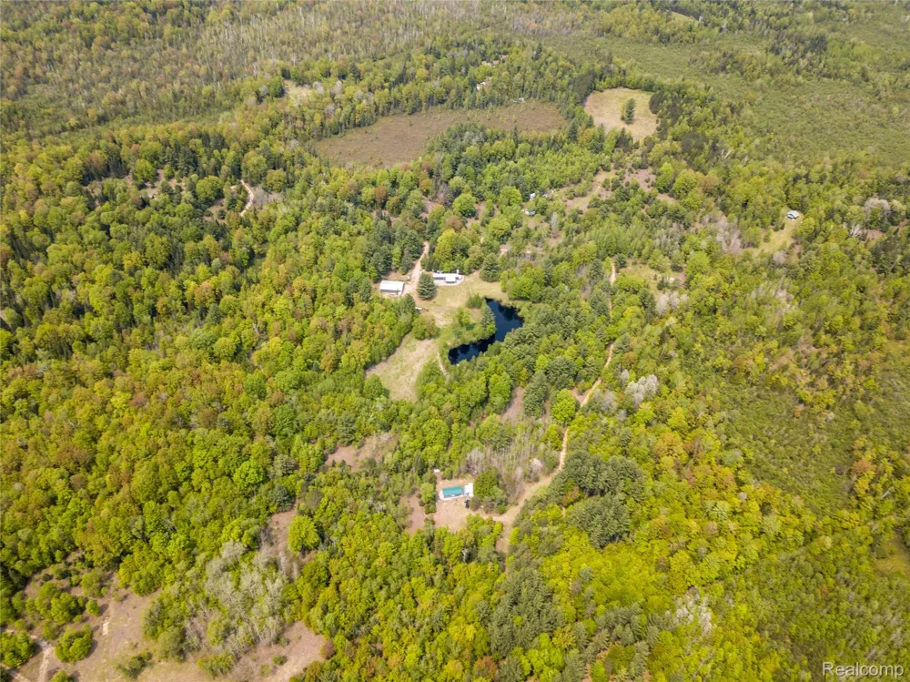 5960 Trail SE Orange Township, MI 49646