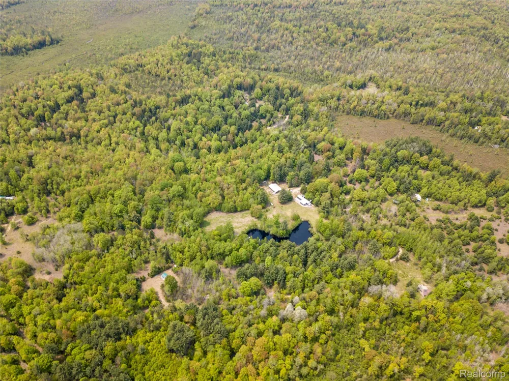 5960 Trail SE Orange Township, MI 49646