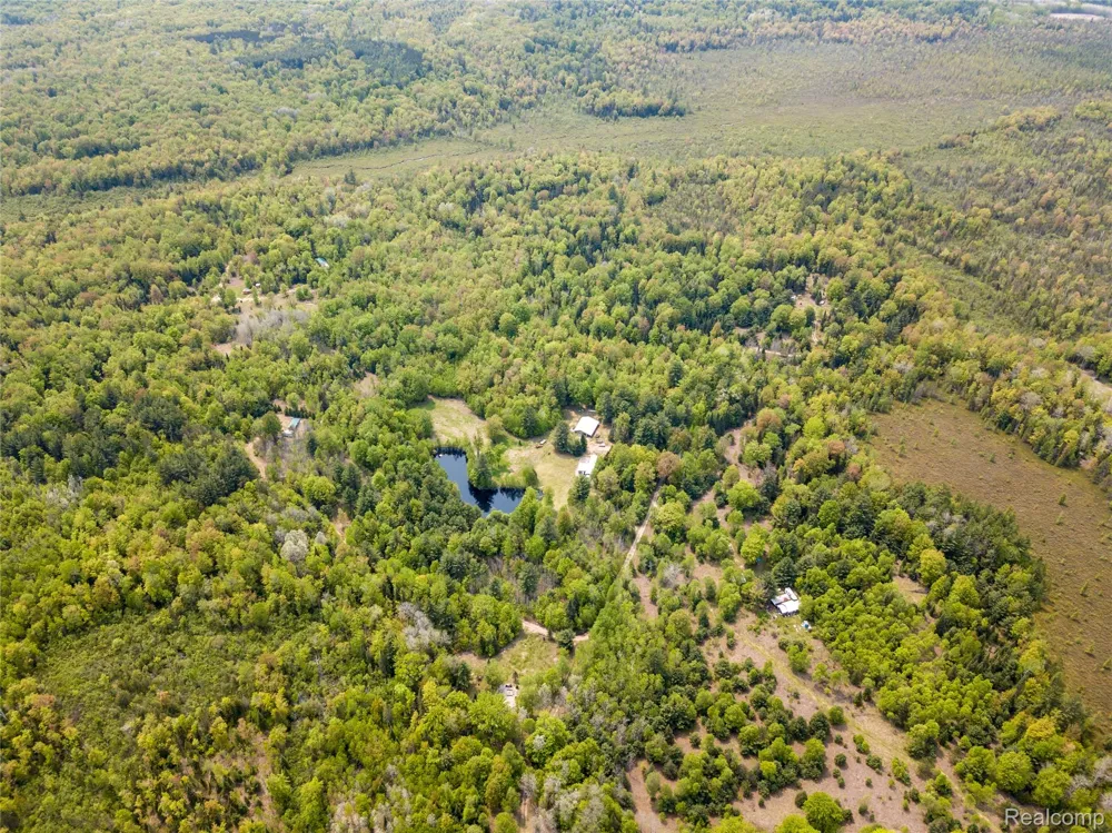 5960 Trail SE Orange Township, MI 49646